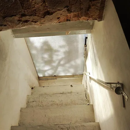 La Tana Di Topolino Apartment